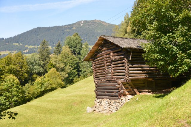 Montafoner Bergwelt im Sommer
